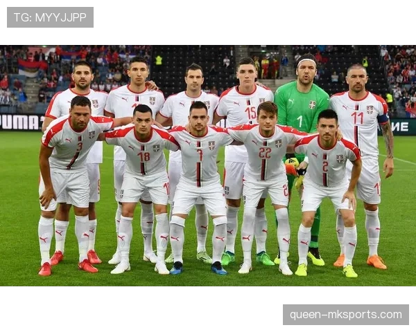 塞尔维亚主帅斯托伊科维奇展望新赛季：团队合作与战略布局成提升竞争力关键