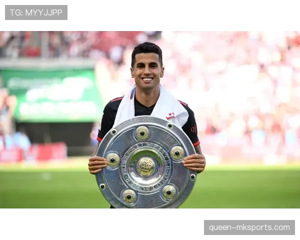 坎塞洛近期表现与纪律问题解析